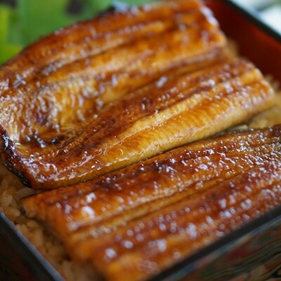 静岡県浜名湖産　鰻の蒲焼き二本