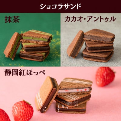 ショコラサンドアソート　6個セット
