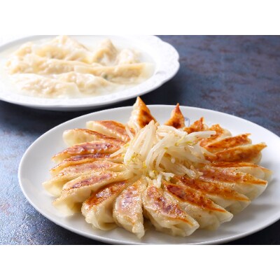 浜松餃子のまっちゃん餃子人気3種 計1ヶセット お礼品詳細 ふるさと納税なら さとふる