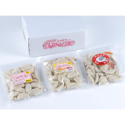 浜松餃子のまっちゃん餃子人気3種 計1ヶセット お礼品詳細 ふるさと納税なら さとふる