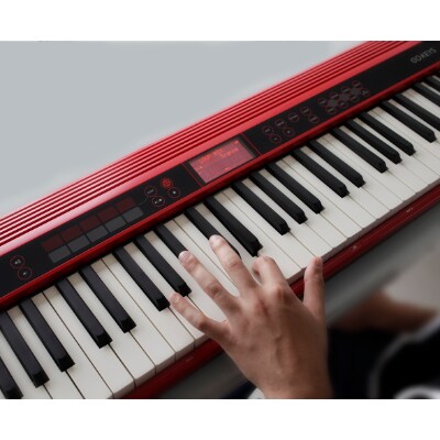 Roland】61鍵エントリーキーボード/GO:KEYS | お礼品詳細 | ふるさと