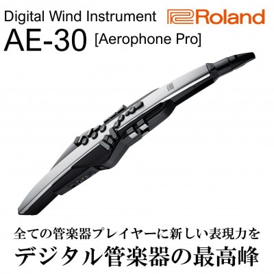 本体は清掃消毒しましたエアロフォンプロ　AE30