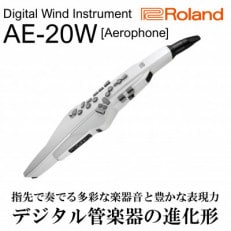 Rolandのウインドシンセサイザー/エアロフォン/パールホワイト/AE-20W