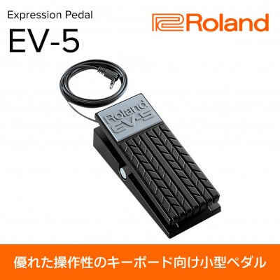 【Roland】エクスプレッションペダル/EV-5