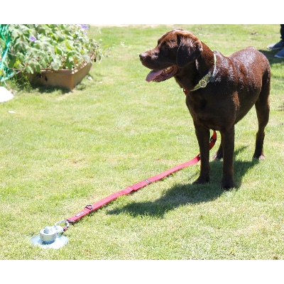大型犬も安全に守るドッグポール　大型犬用フレペグ