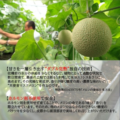 天使音(あまね)マスクメロン