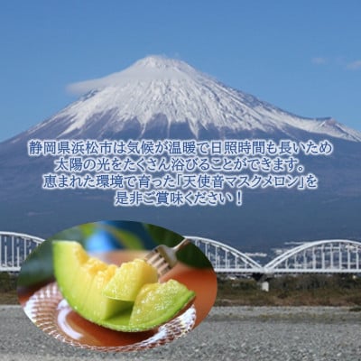 天使音(あまね)マスクメロン グラン・べべ