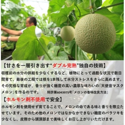 天使音(あまね)マスクメロン グラン・べべ