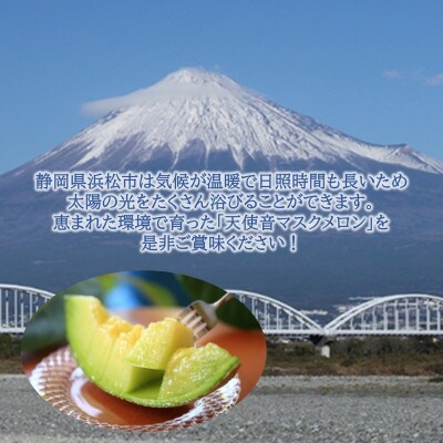 天使音(あまね)マスクメロン グラン・べべ(0.8kg～0.9kg)