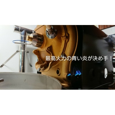 【2025年11月中旬発送】フルーティ珈琲2種(エチオピアナチュラルモカ・ホンジュラスエルロブラル)