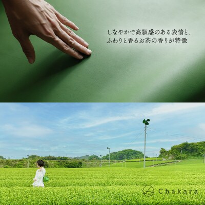 【Chakara】GAMAGUCHI traycase(マッチャ)