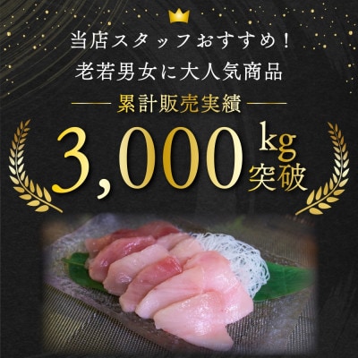 【毎月定期便】 トロビンチョウマグロ切り落とし(250g×4 計1kg)全6回