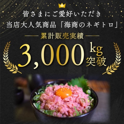 【毎月定期便】 海商のネギトロ(250g×4 計1kg)全3回