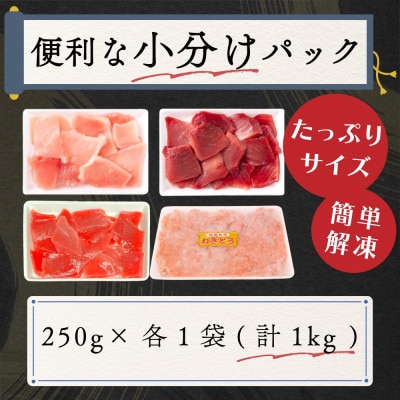 【毎月定期便】天然マグロ4種セット(メバチマグロ、ミナミマグロ、ビンチョウマグロ、ネギトロ)全6回