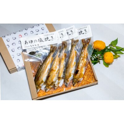 【数量限定】浜松の清流で育った天然あゆの塩焼き(5本入り)