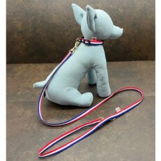 真田紐 小型犬用カラーMサイズ&ハンズフリーリード(トリコロール)