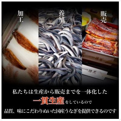 訳あり 国産きざみうなぎ450g(90g×5袋) タレ・山椒付