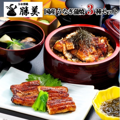 国産うなぎ蒲焼 3種セット(タレ・山椒付)