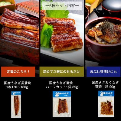 国産うなぎ蒲焼 3種セット(タレ・山椒付)
