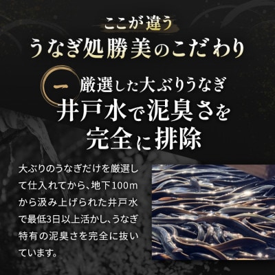 国産うなぎ弁当【特上】360g×2食セット(タレ・山椒付)
