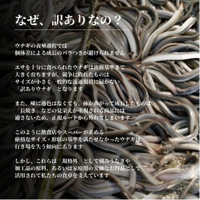 【毎月定期便】うなぎ処勝美 訳あり国産きざみうなぎ90g×5袋全6回