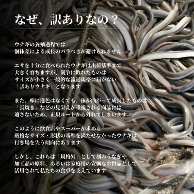 【毎月定期便】うなぎ処勝美 訳あり国産きざみうなぎ90g×3袋全12回