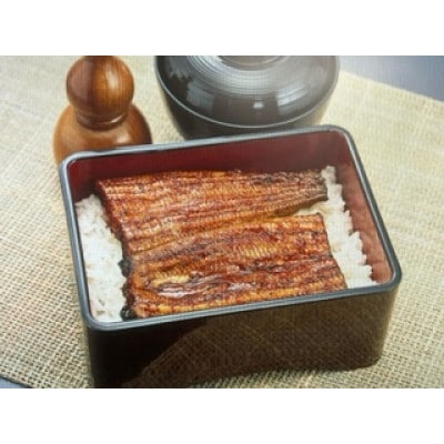 浜名湖産鰻　白焼2本セット