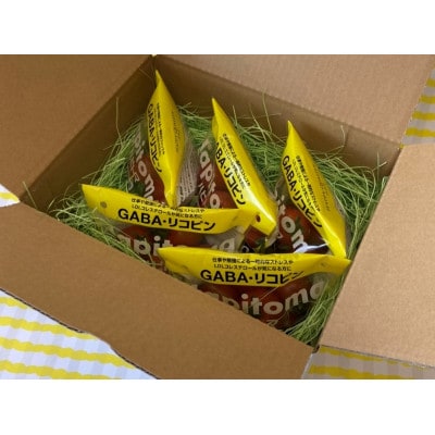 機能性表示食品　Hapitoma ハピトマ　　 糖度10(1kg)