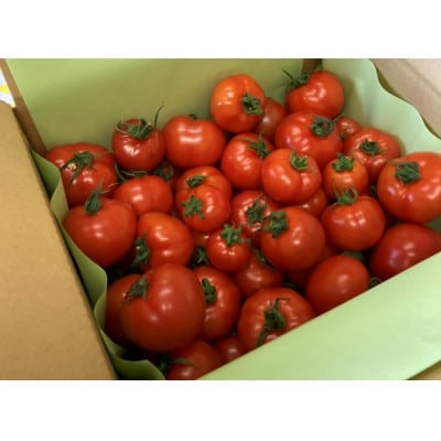 機能性表示食品　Hapitoma ハピトマ　　 わけあり(1.8kg)