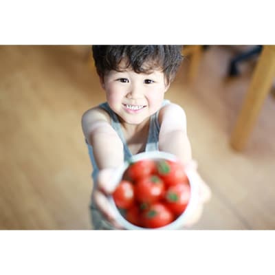 【毎月定期便】機能性表示食品　Hapitoma ハピトマ　わけあり1.8kg全12回