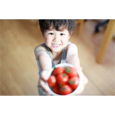 2023年2月発送開始定期便_機能性表示食品Hapitomaハピトマ　わけあり1.8kg全12回