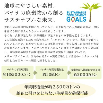 日本製 枕カバー 43×63cm枕用 バナナガーゼクロス リバーシブル サステナブル BL×GY