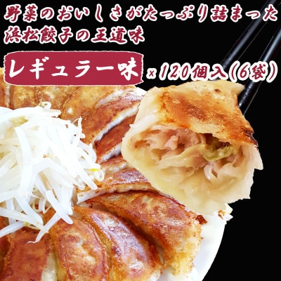 浜松餃子 大須のぎょうざ[王道 レギュラー味 × 6袋(1袋20個入、合計120個入)タレ付き]