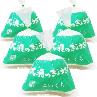 浜松餃子 大須のぎょうざ[まろやか こいくち味 × 5袋(1袋20個入、合計100個入)タレ付き]
