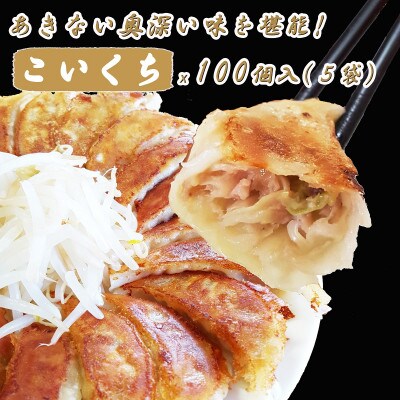 浜松餃子 大須のぎょうざ[まろやか こいくち味 × 5袋(1袋20個入、合計100個入)タレ付き]