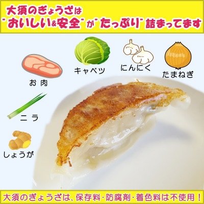 浜松餃子 大須のぎょうざ[まろやか こいくち味 × 5袋(1袋20個入、合計100個入)タレ付き]