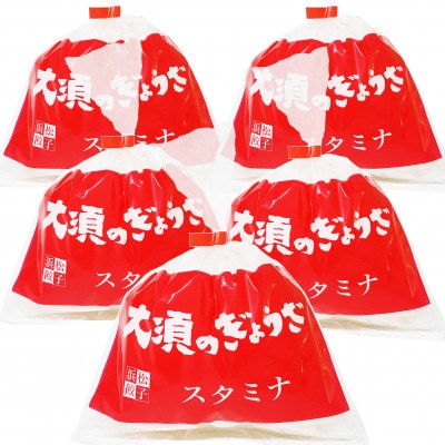 浜松餃子 大須のぎょうざ[ スタミナ味 × 5袋(1袋20個入、合計100個)タレ付き]