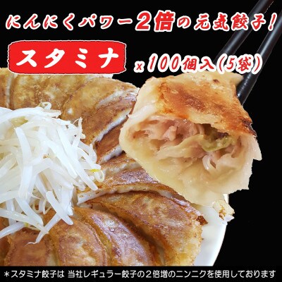 浜松餃子 大須のぎょうざ[ スタミナ味 × 5袋(1袋20個入、合計100個)タレ付き]