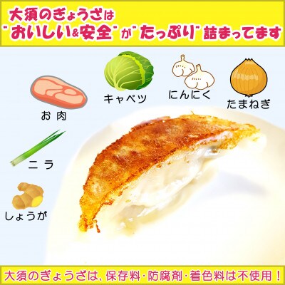 浜松餃子 大須のぎょうざ[ スタミナ味 × 5袋(1袋20個入、合計100個)タレ付き]