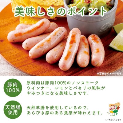 やみつきになるレモン&パセリウインナー10パックセット