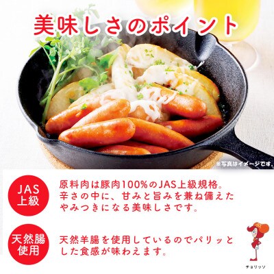やみつきになる辛口チョリソー10パックセット