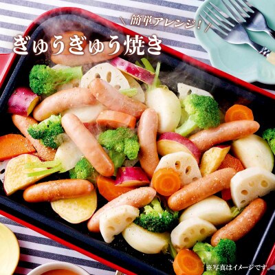贅卓ブレンド特級ポーク&ビーフ10パックセット