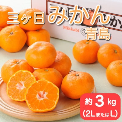 静岡三ヶ日みかん青島約3kg(2L または L)