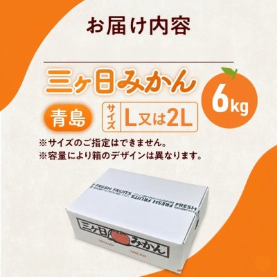 静岡三ヶ日みかん青島約6kg(2L または L)