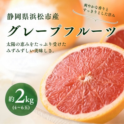 グレープフルーツ 2kg(静岡県浜松市産)