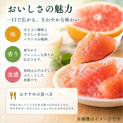 グレープフルーツ 2kg(静岡県浜松市産)