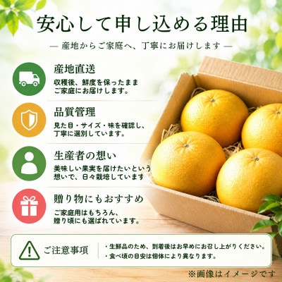 グレープフルーツ 2kg(静岡県浜松市産)