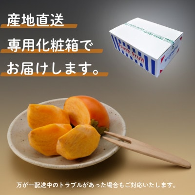 【2026年先行受付】静岡県産 次郎柿 約1.6kg(6～8個)