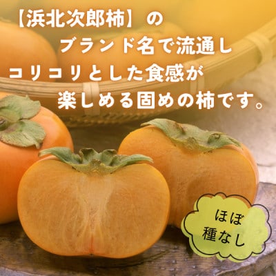 【2026年先行受付】静岡県産 次郎柿 約2.2kg(8～11個)