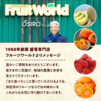 【2026年先行受付】静岡三ヶ日みかん 約4kg MまたはLサイズ【早生品種】